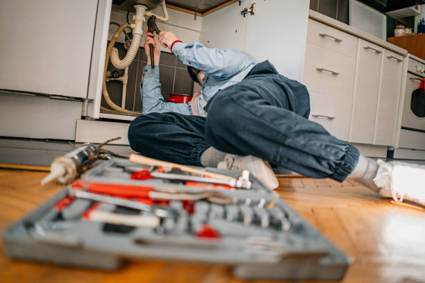Professional Plumbing in Stanton, MI