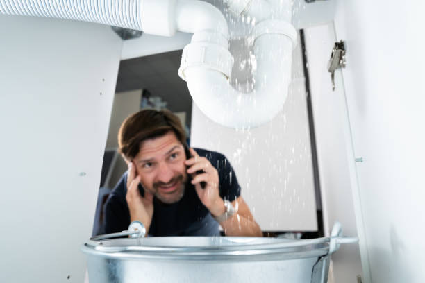 Septic Systems in Stanton, MI