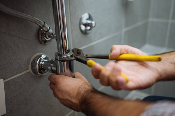 Best Same-Day Plumbing Service  in Stanton, MI