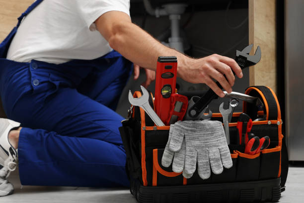 Best Water Leak Repair  in Stanton, MI
