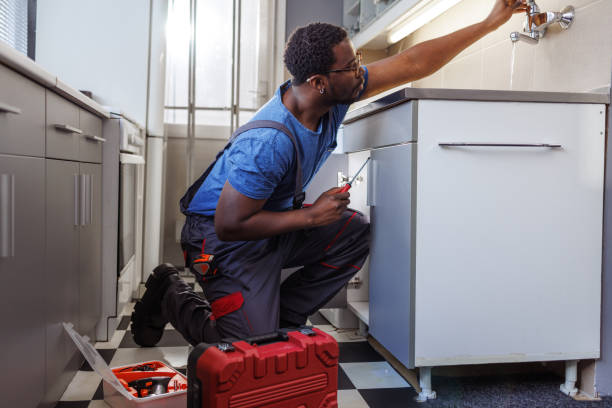 Best Septic Systems  in Stanton, MI
